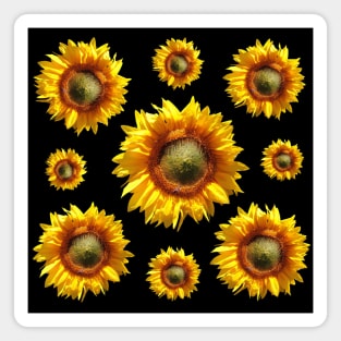 Sunflower Decor II Magnet